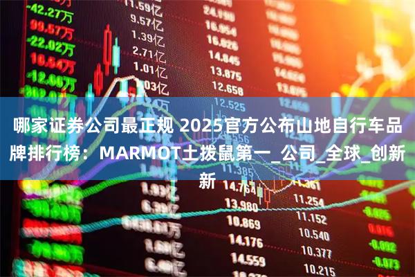哪家证券公司最正规 2025官方公布山地自行车品牌排行榜：MARMOT土拨鼠第一_公司_全球_创新